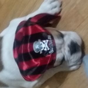 Meet your Posher, Kenneth